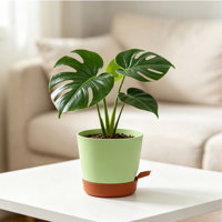 Pots de fleurs modernes et durables en plastique PP à arrosage automatique avec trous de drainage, design minimaliste, capacité de 1,17 L pour une utilisation en intérieur/extérieur