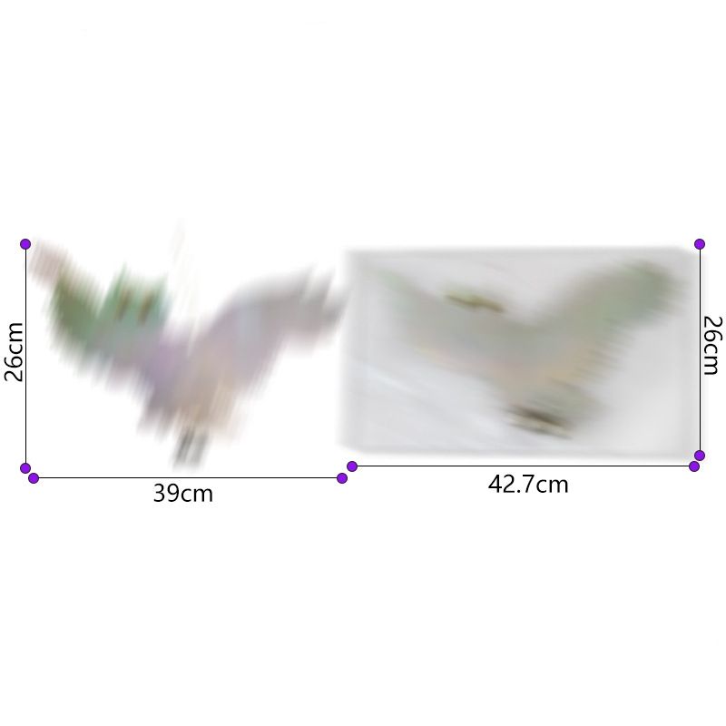 flying style double-sided silver