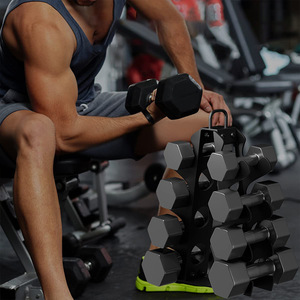 Wellshow 4 Tier Dumbbell Rack <strong>Weight</strong> Rack for Home Gym Dumbbell <strong>Stand</strong> for Free <strong>Weights</strong> - Product Image 2