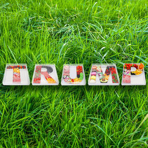 Letras de Cartón Rellenables de 12 Pulgadas con la Leyenda 'HARRIS' para Fiestas de Celebración de las Elecciones Presidenciales de EE. UU. en 2026, para Charcutería - Product Image 3