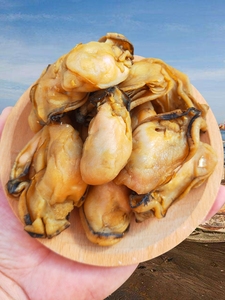 หอยนางรมแห้งจากมณฑลกวางตุ้ง LiOyster Cubesบำรุงก้อนหอยนางรม - Product Image 2