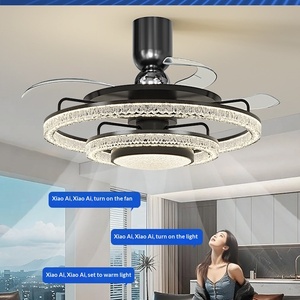 <b>fan</b> lamp new household eye ceiling lamp Italian light luxury high-end living room bedroom ice crack <b>fan</b> lamp - Product Image 2