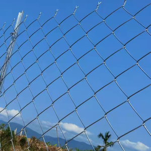 Clôture à maillons de chaîne enduite de PVC 50mm filet de clôture pour bétail pour boîtier de zoo de poulet, canard et lapin, antirouille - Product Image 5