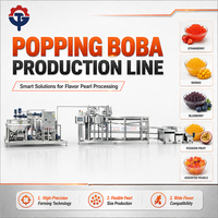 TGmachine Nouvelle Machine Électrique Automatique à Écran Tactile pour la Fabrication de Perles de Boba et de Boules de Jus de Fruits, Production de Perles de Bubble Tea
