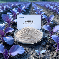 YIDA Biotech Bacillus Megaterium Agent Microbien Agricole Acide Humique Activateur d'Acide Phosphorique du Sol Stimulant les Nutriments