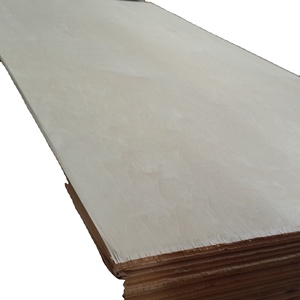 Pannello di compensato di <span class=keywords><strong>betulla</strong></span> naturale 12mm 5x10 dalla fabbrica di Linyi Chanta - Product Image 3