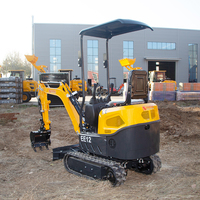 Mini-excavatrice compacte hydraulique économique pour le creusement et les travaux de terrassement, mini-pelleuse domestique à vendre