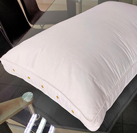 Taie d'oreiller personnalisée en microfibre avec mini ressorts ensachés, soutien et confort sains pour un sommeil réparateur, pressée sous vide, Foshan