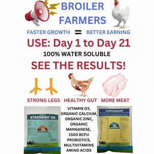 Chikridge Suppléments vitaminiques pour volailles et oiseaux Suppléments alimentaires pour volailles Enzymes et probiotiques Supplément alimentaire pour volailles Vente en gros - Product Image 1