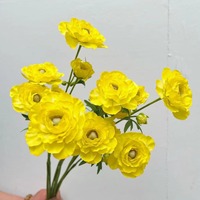 Bunga Ranunculus Sutra Realistis Buatan untuk Pernikahan, Warna Ivory