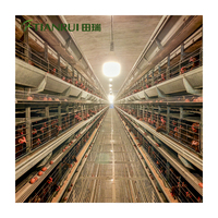 Cage à poules pondeuses automatique de type H en acier galvanisé, marque Tianrui, capacité de 340 oiseaux, durée de vie de 15 à 20 ans, nouvelle solution d'élevage avicole