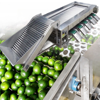 Sorteermachines En Sorteermachines Voor Groenten En Fruit, Producten Voor De Grootte, Sorteermachine Voor Fruit En Sortering