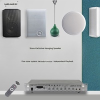Amplificateur de puissance professionnel pour sonorisation publique 200W, sortie multi-zones, haute puissance, performances stables, systèmes audio commerciaux