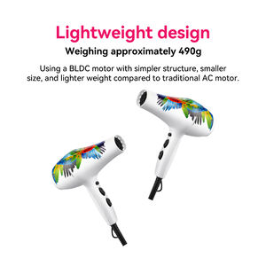 <span class=keywords><strong>Secador</strong></span> de <span class=keywords><strong>Pelo</strong></span> FirePhoenix 5600 MAX PRO 3000H Lifespan BLDC, Motor sin Escobillas de <span class=keywords><strong>3000W</strong></span>, <span class=keywords><strong>Secador</strong></span> Profesional para Salón, Bajo Mantenimiento - Product Image 6