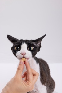 Lovidovi Multivitaminas para Gatos, Tabletas Suplementarias para Reducir Alergias, 180 Unidades, Cuidado de la Vista, Inmunidad y Salud Nerviosa Felina, OEM ODM a Granel - Product Image 3