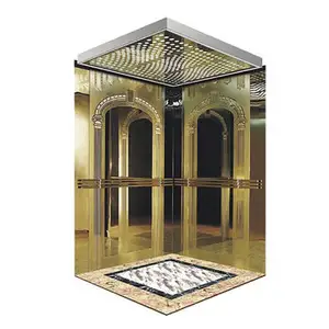 Luxury Design Villa House Elevator Lifts gearless motor for elevator garage car elevators parts