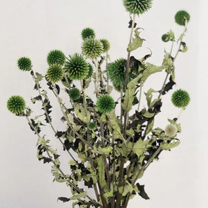 Fábrica de Yunnan, venta al por mayor, flores decorativas naturales, para el hogar <span class=keywords><strong>echinops</strong></span> preservados, boda, ramo floral de vacaciones - Product Image 3