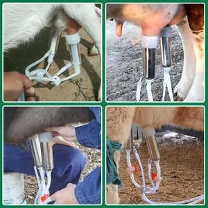 Máquinas <span class=keywords><strong>de</strong></span> <span class=keywords><strong>ordeño</strong></span> <span class=keywords><strong>de</strong></span> cabra eléctricas portátiles <span class=keywords><strong>de</strong></span> 5L/14L, leche <span class=keywords><strong>de</strong></span> oveja <span class=keywords><strong>de</strong></span> vacas <span class=keywords><strong>lecheras</strong></span> <span class=keywords><strong>de</strong></span> acero inoxidable <span class=keywords><strong>de</strong></span> pulso automático para granjas pequeñas - Product Image 2