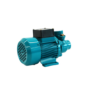 Pompe à vortex QB50, pompe à eau électrique de surface <span class=keywords><strong>pour</strong></span> l'irrigation agricole, l'<span class=keywords><strong>arrosage</strong></span> des jardins, haute efficacité, fournitures agricoles - Product Image 4