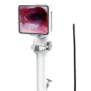 Endoscope Flexible portable, 2.8mm/3.8mm/4.8mm, pour hôpital et vétérinaire, vidéo