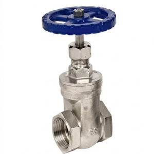 Vanne à opercule cryogénique industrielle en acier inoxydable 304, extrémité soudée, vanne d'isolement manuelle des fluides - Product Image 1