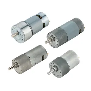 Motor sem escova dc 12V 24V 24mm 36mm 42mm diâmetro alto torque alta velocidade 24 36 volts elétrico micro motores bldc