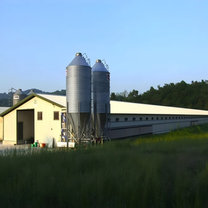 Poulailler préfabriqué moderne et économique avec isolation thermique et protection incendie pour 10 000 poulets - Product Image 3