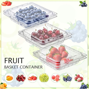 Modern 14oz 18oz Blueberry Clamshell Hot Sale Transparent <b>PET</b> Fruit Clamshell <b>Container</b> Punnet Blueberry Clamshell Packaging - Product Image 2