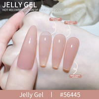 Nouveau Kit de Vernis à Ongles Gel DIY Effet Gelée, Marque Privée, Échantillon Gratuit, Vente en Gros, Bouteille Magnétique