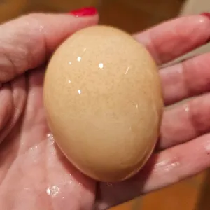 Đa Chức năng dụng cụ nhà bếp rau trứng Scrubber Silicone trứng làm sạch bàn chải
