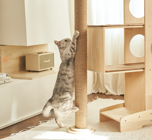 Vendita calda fornitura diretta della fabbrica OEM ODM di lusso moderno eco-friendly regolabile multifunzionale torre di gatto in legno gatto albero mobili - Product Image 3