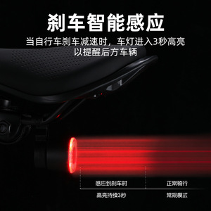 Luz trasera para bicicleta Gore, Led recargable, 4 modos, Ipx4, resistente al agua, accesorios para ciclismo de montaña y carretera - Product Image 5