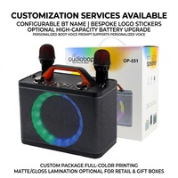 Mesin Karaoke Mini Profesional 20W Dengan 2 Mikrofon Nirkabel Speaker Bt 5.4 untuk Anak-Anak Pesta Rumah Harga Pabrik OEM ODM