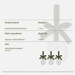 Quà Tặng Mới thiết lập trang trí sáng tạo thạch cao hương treo nhà tủ quần áo khuếch tán đá hương liệu sậy khuếch tán - Product Image 5