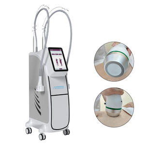 2450MHz Fréquence Freezwave ABS Matériel Double Poignée Corps Contouring Cellulite Enlèvement Machine pour Beauté Spa Utilisation - Product Image 4