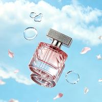 Flacon de parfum vide haut de gamme de 50 ml avec bouchon rectangulaire argenté et atomiseur à sertir (personnalisable)