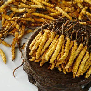 Sản phẩm chăm sóc sức khỏe đông trùng hạ thảo bán hoang dã hữu cơ Worm Grass - Product Image 5