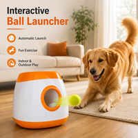 Lanceur automatique de balles pour chien, jouet interactif pour animaux de compagnie, machine à lancer des balles pour chiens, intérieur/extérieur