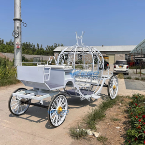 Carruaje Eléctrico de Hierro Blanco Estilo Real, el Más Vendido, Carruaje Eléctrico Blanco para Bodas y Turismo - Product Image 1
