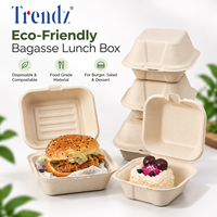 Trendz Jetable Écologique Bento to Go Conteneur Alimentaire Salade De Fruits Hamburger Gâteau Emballage Canne À Sucre Bagasse Boîte À Lunch