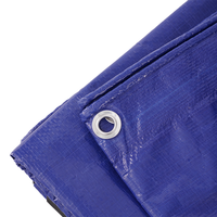 Voile d'ombrage imperméable en tissu argenté bleu Million pour jardin, extérieur, bateau, camion, usage agricole, bâche en PE