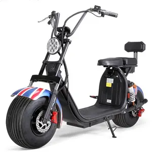 EEC COC new big wheel citycoco 2000w electric scooter