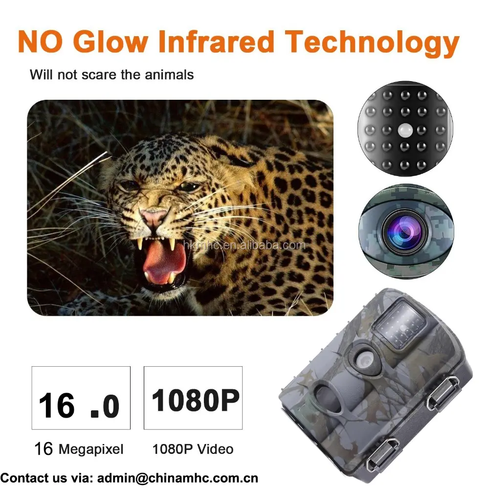 Mini 1080P Infrared Spy Hidden Camera Home Security Camera for Wildlife and Game Hunting in China