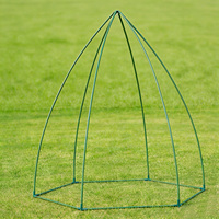 Mini serre de jardin VERTAK, structure métallique, serre en forme de cloche avec couverture transparente en PE pour jardin extérieur