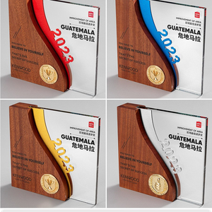 Placa de Trofeo de Madera y Cristal Personalizable con Impresión UV, Premio para Reuniones Anuales, Regalo de Autorización para Agentes Comerciales - Product Image 4