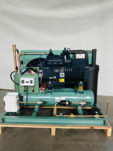 बेस्कुल उच्च प्रदर्शन 5hp बिटजर कंप्रेसर 2-फैन एयर कूल्ड कंडेसिंग यूनिट कोल्ड स्टोरेज प्रशीतन गर्मी विनिमय भागों