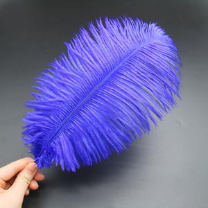 Penne nere di struzzo alla rinfusa-Bulu <span class=keywords><strong>Merak</strong></span> per il carnevale di Samba - Product Image 4