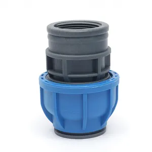 DN20 DN25 DN32 DN40 DN50 DN63 Internal thread pipe fitting compression joint nylon pipe fittings female straight fittings