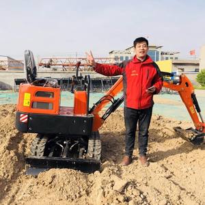 China minibagger sd12d modelo fazenda mini escavadeira equipamentos construção escavadora en venda - Product Image 4