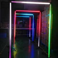 Fabricante profesional Tubos de neón Fondo de pie Led Marco gigante Camino DE BODA Túnel Luces para eventos